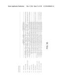 METHODS AND COMPOSITIONS FOR RNA-DIRECTED TARGET DNA MODIFICATION AND FOR     RNA-DIRECTED MODULATION OF TRANSCRIPTION diagram and image