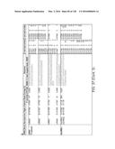 METHODS AND COMPOSITIONS FOR RNA-DIRECTED TARGET DNA MODIFICATION AND FOR     RNA-DIRECTED MODULATION OF TRANSCRIPTION diagram and image