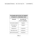 GLUCOSE AND XYLOSE CO-FERMENTING MICROORGANISM THAT EXPRESSES ACTIVE     GLUCOAMYLASE diagram and image