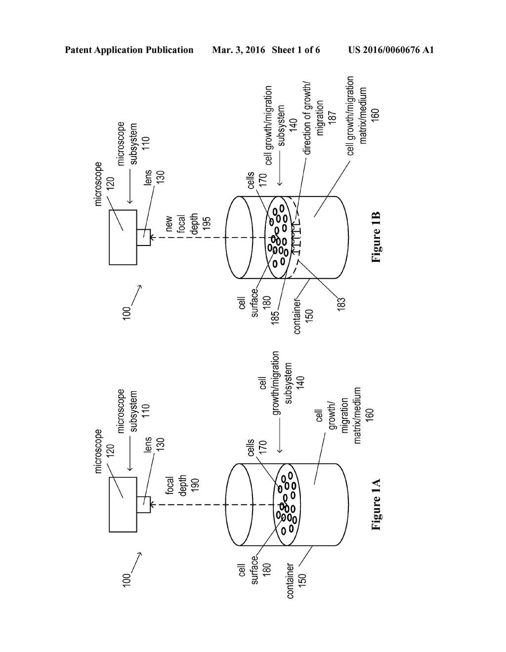 Automated Cell Growth/Migration Detection System And Associated Methods - diagram, schematic, and image 02