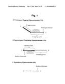 DETECTION OF TARGET NUCLEIC ACID SEQUENCE BY PTO CLEAVAGE AND     EXTENSION-DEPENDENT NON-HYBRIDIZATION ASSAY diagram and image