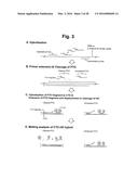 DETECTION OF TARGET NUCLEIC ACID SEQUENCE BY PTO CLEAVAGE AND     EXTENSION-DEPENDENT NON-HYBRIDIZATION ASSAY diagram and image