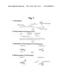 DETECTION OF TARGET NUCLEIC ACID SEQUENCE BY PTO CLEAVAGE AND     EXTENSION-DEPENDENT NON-HYBRIDIZATION ASSAY diagram and image