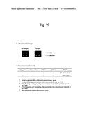 DETECTION OF TARGET NUCLEIC ACID SEQUENCE BY PTO CLEAVAGE AND     EXTENSION-DEPENDENT NON-HYBRIDIZATION ASSAY diagram and image