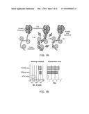 Transposition of Native Chromatin for Personal Epigenomics diagram and image