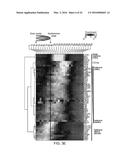 Transposition of Native Chromatin for Personal Epigenomics diagram and image