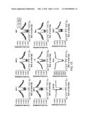 Transposition of Native Chromatin for Personal Epigenomics diagram and image