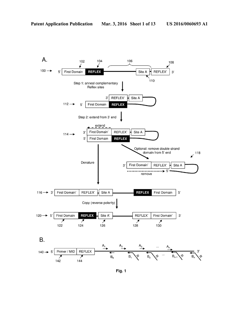 Compositions and Methods for Intramolecular Nucleic Acid Rearrangement - diagram, schematic, and image 02