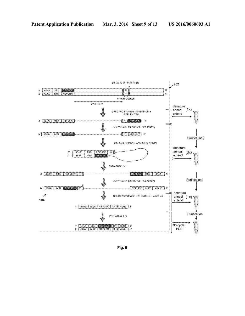 Compositions and Methods for Intramolecular Nucleic Acid Rearrangement - diagram, schematic, and image 10