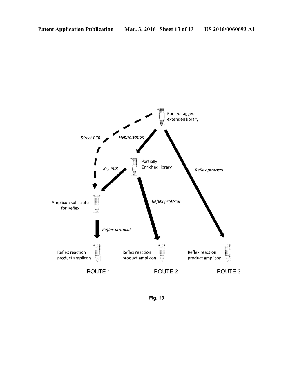 Compositions and Methods for Intramolecular Nucleic Acid Rearrangement - diagram, schematic, and image 14