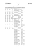 METHOD FOR THE IDENTIFICATION BY MOLECULAR TECHNIQUES OF GENETIC VARIANTS     THAT ENCODE NO D ANTIGEN (D-) AND ALTERED C ANTIGEN (C+W) diagram and image