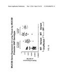 METHODS FOR PREDICTING RISK OF INTERSTITIAL PNEUMONIA diagram and image