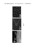 NANOPARTICLE-STABILIZED IMMISCIBLE ALLOYS diagram and image