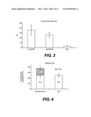 IN VITRO BILIARY EXCRETION ASSAY diagram and image