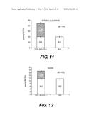 IN VITRO BILIARY EXCRETION ASSAY diagram and image