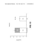 IN VITRO BILIARY EXCRETION ASSAY diagram and image