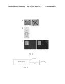 BACTERIOPHAGE-BASED BIOSENSOR FOR MICROBIAL DETECTION diagram and image