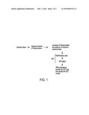 IMAGING OF CREATINE KINASE ENZYME EXPRESSION IN CANCEROUS TISSUES diagram and image