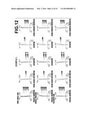 ZOOM LENS AND IMAGING APPARATUS diagram and image