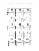 ZOOM LENS AND IMAGING APPARATUS diagram and image