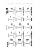 ZOOM LENS AND IMAGING APPARATUS diagram and image