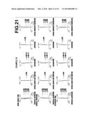 ZOOM LENS AND IMAGING APPARATUS diagram and image