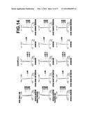 ZOOM LENS AND IMAGING APPARATUS diagram and image