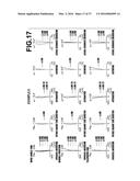 ZOOM LENS AND IMAGING APPARATUS diagram and image