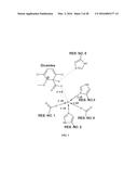 AUTOMATED METHOD OF COMPUTATIONAL ENZYME IDENTIFICATION AND DESIGN diagram and image