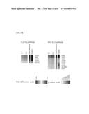 SYSTEM FOR PREDICTING PROGNOSIS OF LOCALLY ADVANCED GASTRIC CANCER diagram and image