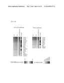 SYSTEM FOR PREDICTING PROGNOSIS OF LOCALLY ADVANCED GASTRIC CANCER diagram and image