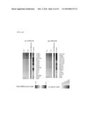 SYSTEM FOR PREDICTING PROGNOSIS OF LOCALLY ADVANCED GASTRIC CANCER diagram and image