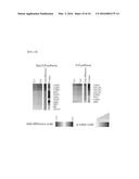 SYSTEM FOR PREDICTING PROGNOSIS OF LOCALLY ADVANCED GASTRIC CANCER diagram and image