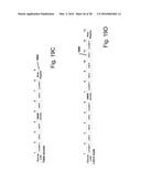 Processor, System, and Method for Efficient, High-Throughput Processing of     Two-Dimensional, Interrelated Data Sets diagram and image