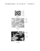 CONDUCTIVE COMPOSITE MATERIAL AND METHOD FOR PRODUCING SAID CONDUCTIVE     COMPOSITE MATERIAL diagram and image