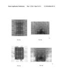 TRANSFORMER diagram and image