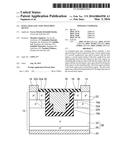 INSULATED GATE TYPE SWITCHING DEVICE diagram and image