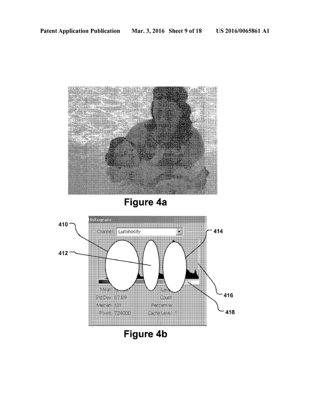 Modification of post-viewing parameters for digital images using image     region or feature information - diagram, schematic, and image 10