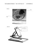 CRYOPRESERVATION OF UMBILICAL CORD TISSUE STRIPS FOR CORD TISSUE-DERIVED     STEM CELLS diagram and image