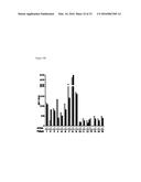 Combination Therapies with Anti-CD38 Antibodies diagram and image