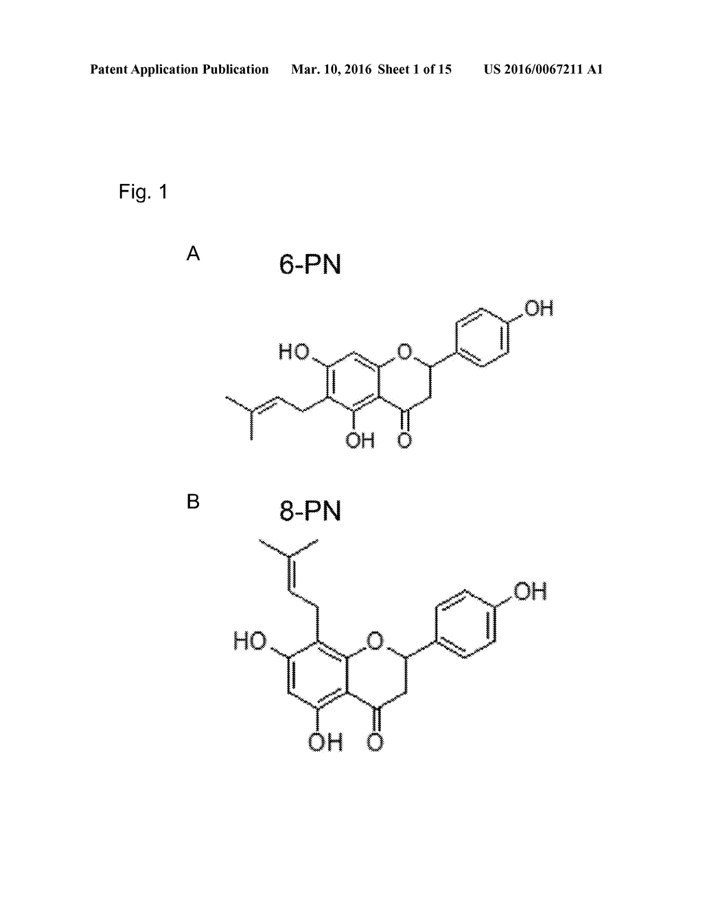 PHARMACEUTICAL COMPOSITION - diagram, schematic, and image 02