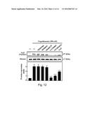 USE OF ERGOTHIONEINE FOR INDUCING ACTIVITY OF NRF2 IN CELL diagram and image