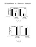 USE OF ERGOTHIONEINE FOR INDUCING ACTIVITY OF NRF2 IN CELL diagram and image