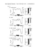 USE OF PHOSPHODIESTERASE 5A INHIBITORS FOR THE TREATMENT OF MUSCULAR     DYSTROPHY diagram and image