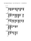 USE OF PHOSPHODIESTERASE 5A INHIBITORS FOR THE TREATMENT OF MUSCULAR     DYSTROPHY diagram and image