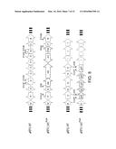 ENTEROCOCCUS FAECALIS BACTERIOPHAGE AND USES THEREOF diagram and image