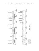 ENTEROCOCCUS FAECALIS BACTERIOPHAGE AND USES THEREOF diagram and image