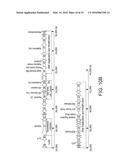 ENTEROCOCCUS FAECALIS BACTERIOPHAGE AND USES THEREOF diagram and image