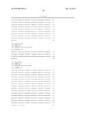 ENTEROCOCCUS FAECALIS BACTERIOPHAGE AND USES THEREOF diagram and image