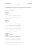 ENTEROCOCCUS FAECALIS BACTERIOPHAGE AND USES THEREOF diagram and image